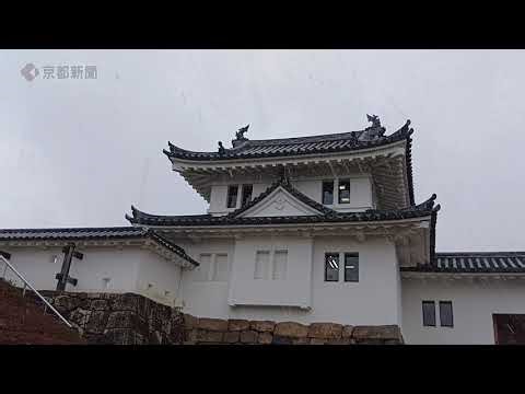 雪が強まる京都府舞鶴市内（2026年1月20日）Snow in Maizuru City, Kyoto Prefecture