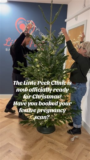 22 reactions | It’s beginning to look a lot like Christmas at Little Peek ✨ Our Little Peek family spent the day adding festive warmth to the clinic, ready to make your scan experience even more special this season. Book your festive scan and come and see for yourself if our Christmas tree decorating skills are anywhere near as good as our scanning skills!✨ Want some extra Christmas Magic?? Book your scan today 﫶 | Little Peek Baby Ultrasound | Facebook
