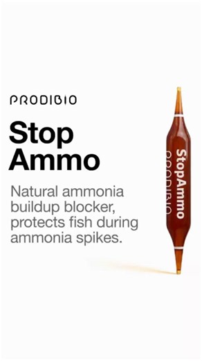 Meet the Stop Ammo