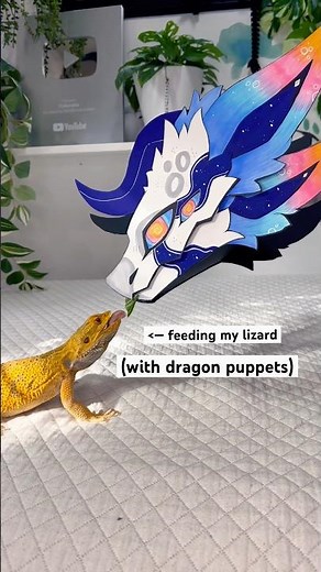 Feeding My Lizard With Dragon Puppets #dragonpuppet #paperdragons