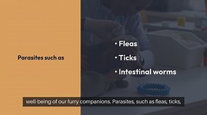 Pet Parasite Prevention