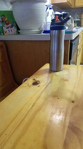 38K views · 446 reactions | Leftovers are yummy  | Rumble Dogs | Facebook