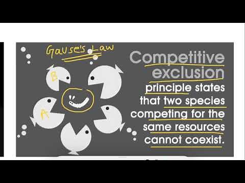 Competitive Exclusion Principle (Gause's Law) in ecology Explained