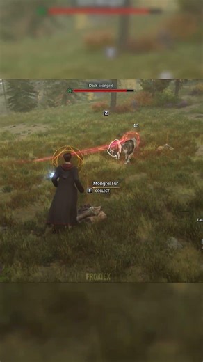 Surrounded By Mongrels #hogwartslegacy #shorts #gamingshorts #jamespotter #hogwartslegacygameplay