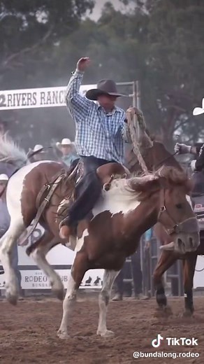2024 APRA Bucking Horse Champion Revealed!