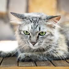 23K views | Só tem preço bom on Reels | Facebook