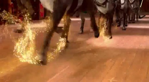 Karácsonyi kutyabalhé