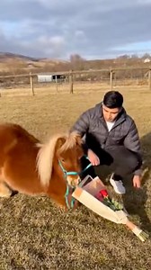 19K views · 837 reactions | You can see the shift happen precisely as...