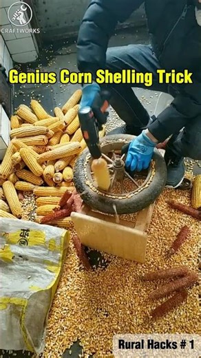 Genius Corn Shelling Trick （Rural Hacks # 1）