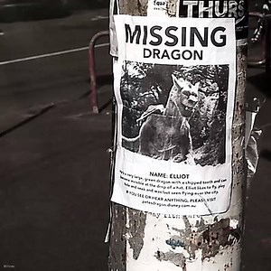 12K views · 244 reactions | Have you seen Pete's Dragon? | Walt Disney Studios | Facebook