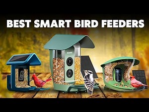 Top 5 Smart Bird Feeders with Cameras (2025) - Ultimate Review