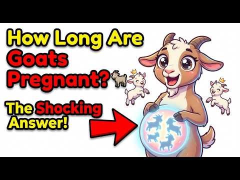 Goat Pregnancy Explained 🐐 | How Many Days Are Goats Pregnant? Complete Guide