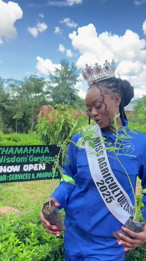 Miss Agriculture Zambia on TikTok