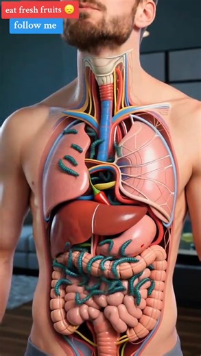 120K views · 645 reactions | humanbody, anatomy, 3danimation, sciencetok, aiart, digestivesystem, medicalanimation, healthfacts, | Humanfacts3d | Facebook
