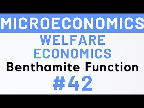 #42- Social Welfare Function (Part-1), Benthamite Function, MEC 101, IGNOU | Kanishka Luthra