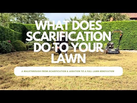 What does scarification do to your lawn.