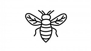 Simple Line Drawing Bee On White Stock Footage Video (100% Royalty-free) 3610963301 | Shutterstock