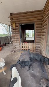 19K views · 1.5K reactions | La CABAÑA1 que “era mi casa” ahora...