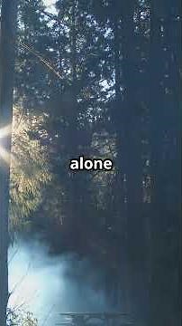 Torah Code | From Roots of Lies