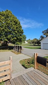 11 reactions | Price improvement! Now 385,000  Discover this...