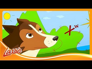 😱 Lassie Missing?! Wilderness Race Turns Into a Rescue Mission! | Lassie | Cartoons For Kids
