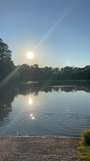 15 reactions | Beautiful day!  | Susan Gary | Facebook