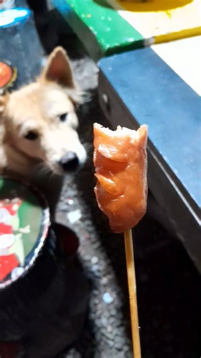 ไม่ให้หลอก555 #monkey #animation