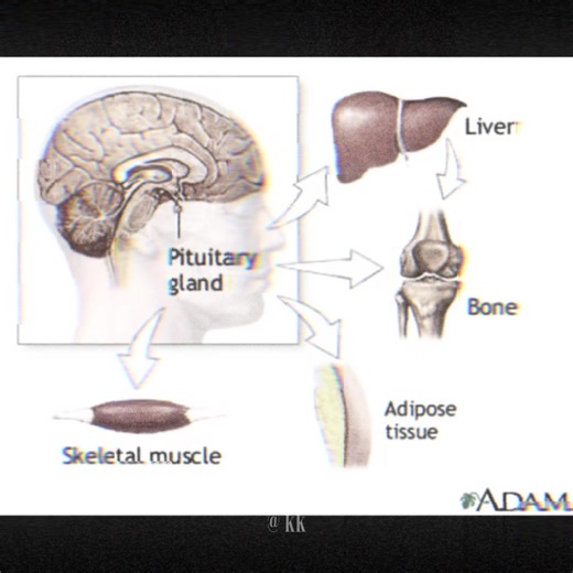 ts so ahh filler post till i make something good @BONES5RRREVIVED2 #fyp #hgh #igf1 #iqmaxx