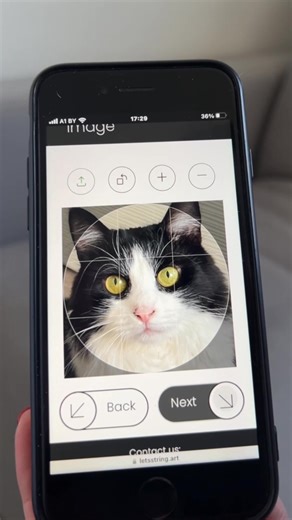 8.8K views · 32 reactions | When a furry face is your biggest inspiration | Let's String | Facebook