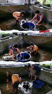 21 reactions · 4 comments | Bonding ng magninong!咽✨️ #MindoroCrayfishBreeder #CrayfishFarming #LegitBreeder #AquaCulture #ARCPilipinas | Mindoro Crayfish Breeder | Facebook