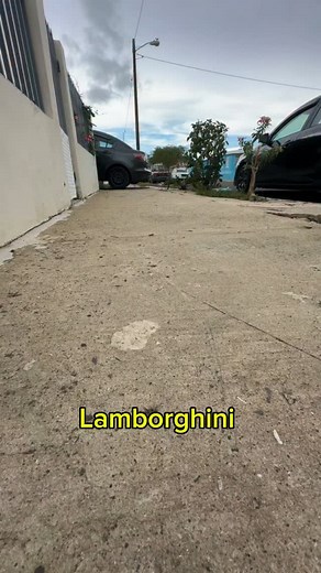 38K views · 203 reactions | What super car  is Mew?? #chihuahua #lamborghini #ferrari #porsche | Mini.Mew.Official | Facebook