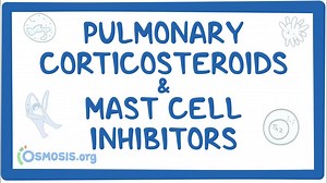Pulmonary corticosteroids and mast cell inhibitors: Video, Causes, & Meaning | Osmosis