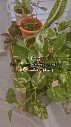 #اكسبلور #التغطيه #لايك