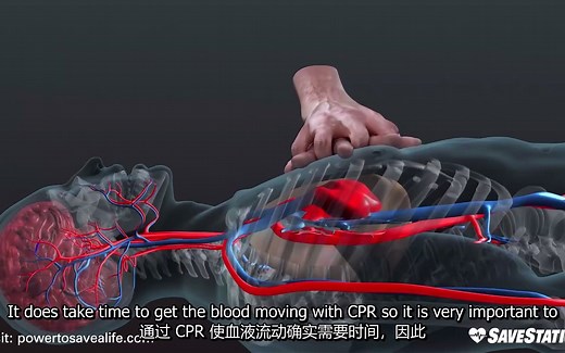 三维视频说明CPR[心肺复苏术]运行原理CPR in Action _ A 3D look inside the body