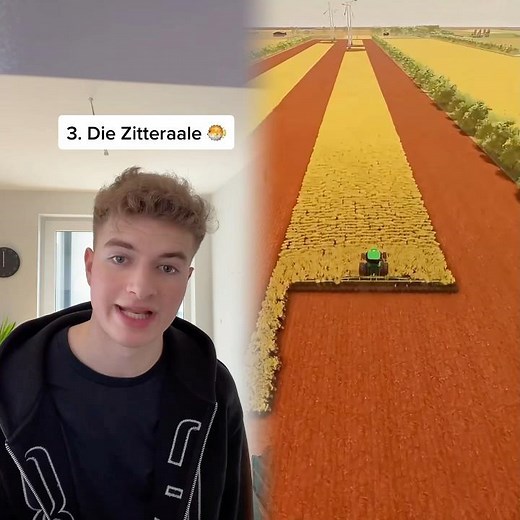 Top 5 Arten von Schülern 😂 Markiert eure Mitschüler 🤝 #foryoushorts