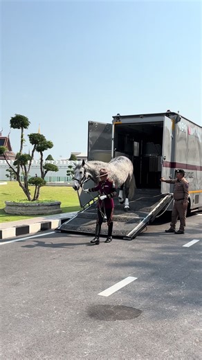 Mounted Police in Thailand: A Closer Look