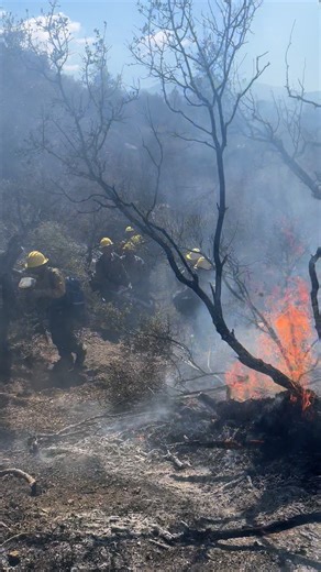 328K views · 3K reactions | Angeles NF Crew 41 & 63 continue to extinguish fires within the King Fire perimeter. https://www.fs.usda.gov/working-with-us/careers/fire | Angeles National Forest | Facebook