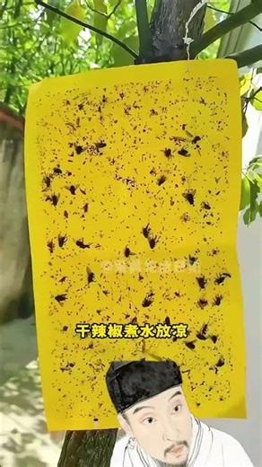 Spring Aphid Invasion: Beat Them Without Chemicals