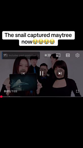 Discover Maytree's Captivating Song for War Thunder Fans