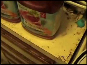 Cooking With Hoarders: How to wake up in the morning Part 1