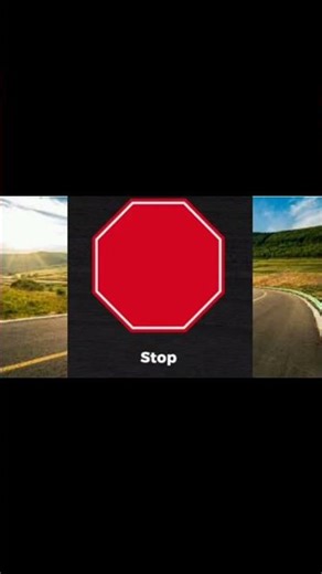 Traffic Signs Everyone Must Know 🚦