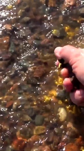 Metal Finder on Reels