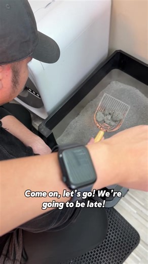 Efficient Litter Box Cleaning Hacks for Cat Owners