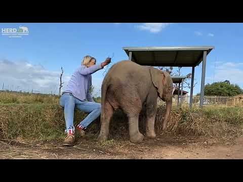 Two Inspiring Women Behind HERD - South Africa's First Dedicated Elephant Orphanage