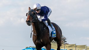 Spring carnival targets for Peter Moody stars