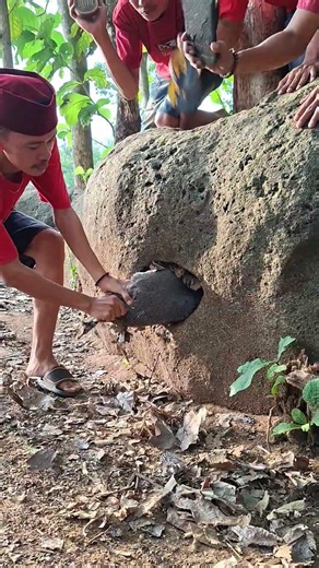 wah dapat ayam di lubang batu yang anih #hature #shortsviral