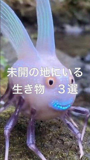 【AI生物】未知なる生物３選#サンセン #未確認生物 #架空生物 #ショート #shorts #aiショート #AI映像 #AI生成 #Sora #未知の生物 #生物図鑑 #幻想生物