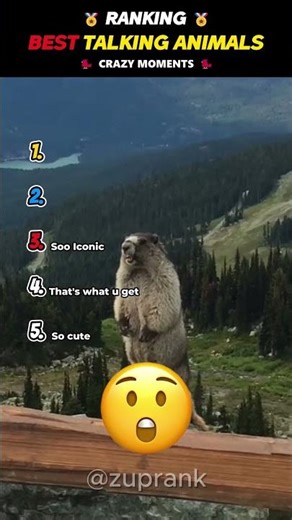 Ranking THE BEST Talking Animals EVER! #usa