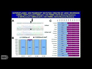 A Mitochondrial Etiology of Metabolic and Degenerative Diseases, Cancer and Aging