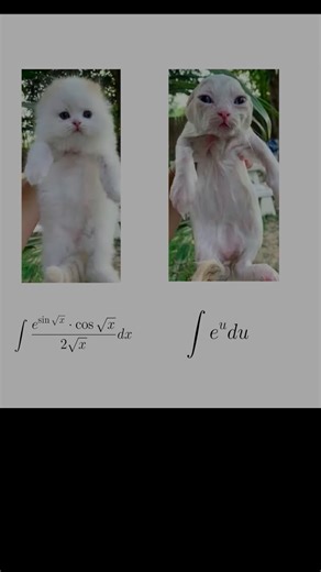 Jarrell Education - NJ Tutoring and Test Prep on Instagram: "AP Calculus help! If you need a hand with u-substitution integrals watch this video. Please visit and subscribe to my YouTube channel @JarrellEducation for more in depth discussions #calculus #apcalculus #mathhelp #calculushelp #inegrals"